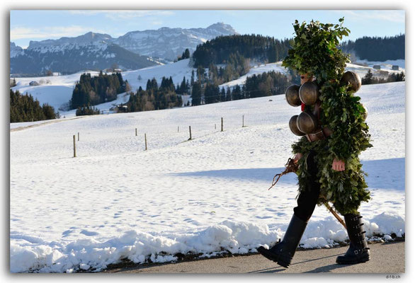 A0851.Silvesterchlausen.Waldstatt