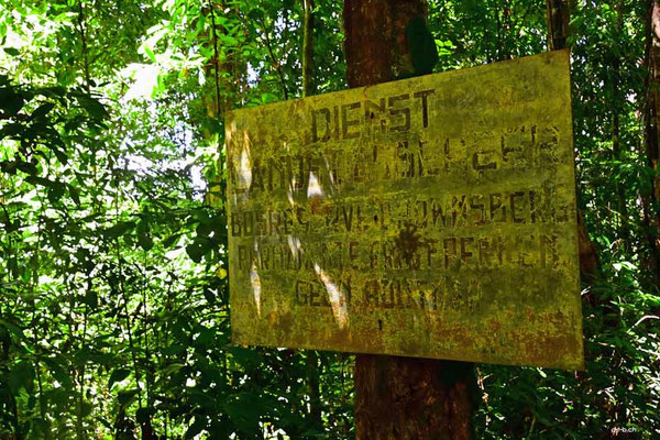 Suriname.Brownsberg Nature Park