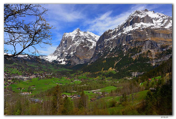GW0099.Wetterhorn und Mättenberg