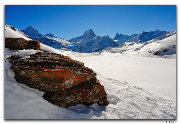 GW0056.Bachalpsee