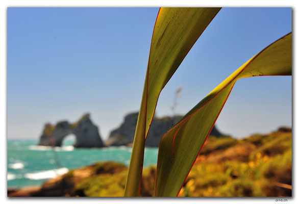NZ0624.Wharariki Beach.Archway Islands