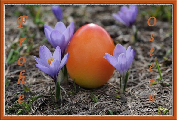 T014.Frohe Ostern