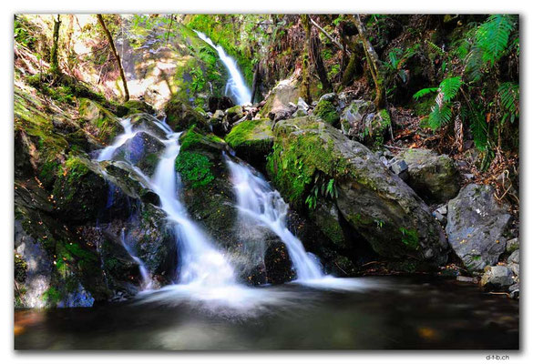 NZ0547.Kahurangi N.P.Waterfall beside the track