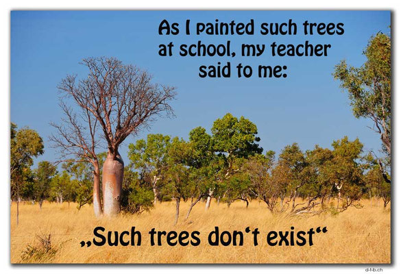 T046.Boab-Tree.AU.