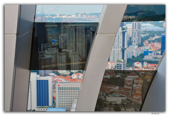SIN0004.Sky Gardens at Capita Spring