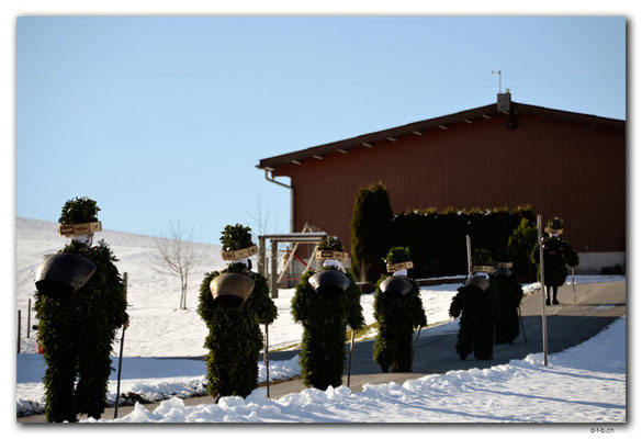 A0824.Silvesterchlausen.Waldstatt