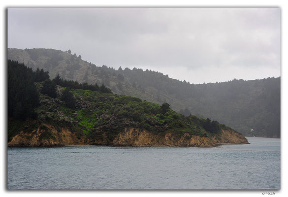NZ0474.Queen Charlotte Sound