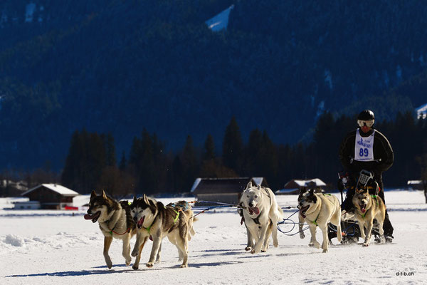 CH1380.SH-Rennen Lenk.Matsch Andy