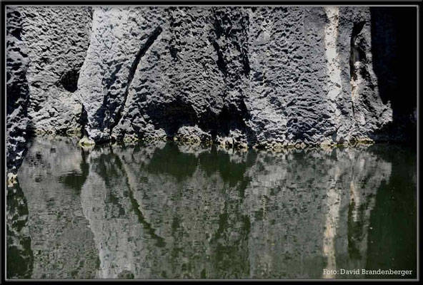 C0848Stone Forest