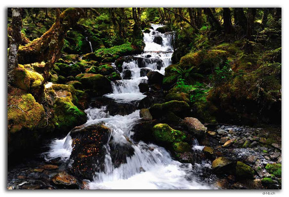 NZ0647.Nelson Lakes N.P.Hopeless Creek