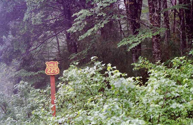 Chile sign in the middle of the forest