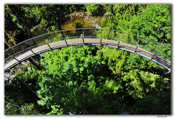 CA0520.Vancouver.Capilano Cliffwalk