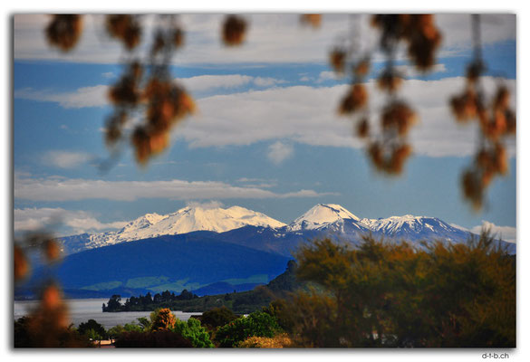 NZ0282.Taupo.Tongariro N.P