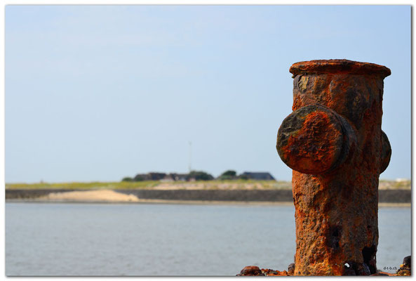 DE073.Hallig Hooge.Ockenswarft