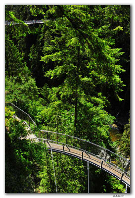 CA0521.Vancouver.Capilano Cliffwalk & Suspension Bridge