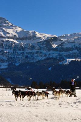 CH1384.SH-Rennen Lenk.Lüthi Ueli