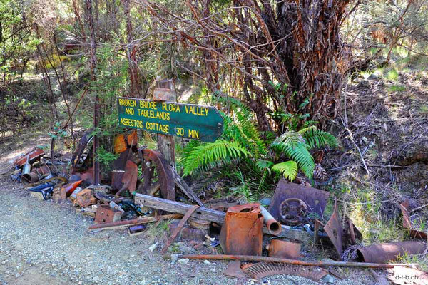 New Zealand.Kahurangi N.P.2