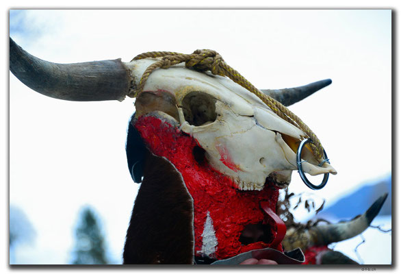 CH0980.Silvesterchlausen.Waldstatt