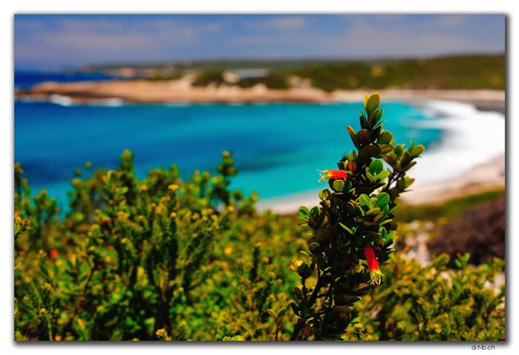 AU0864.Esperance.Salmon Beach