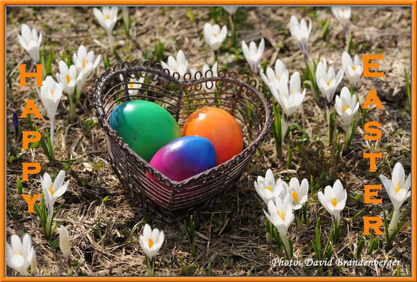 T011.Easter