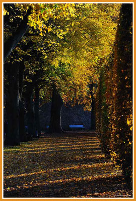 A0594.Palastgarten.Trier.