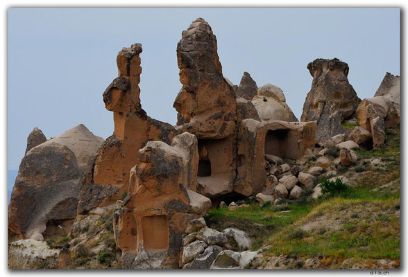 TR0735.Göreme.Hase