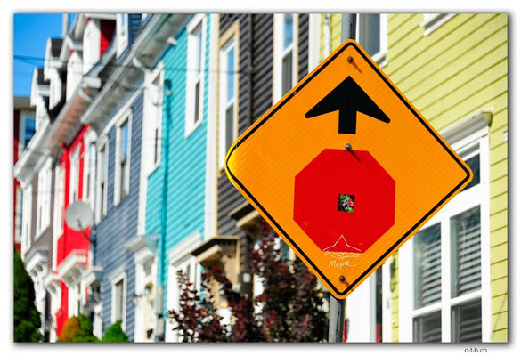 CA1253.Newfoundland.St.John's