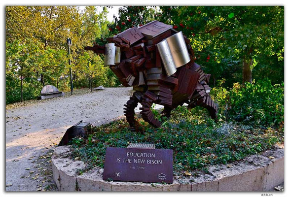 CA0832.Winnipeg.Education is the new Bison