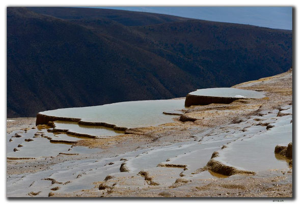 IR0282.Badab Soort
