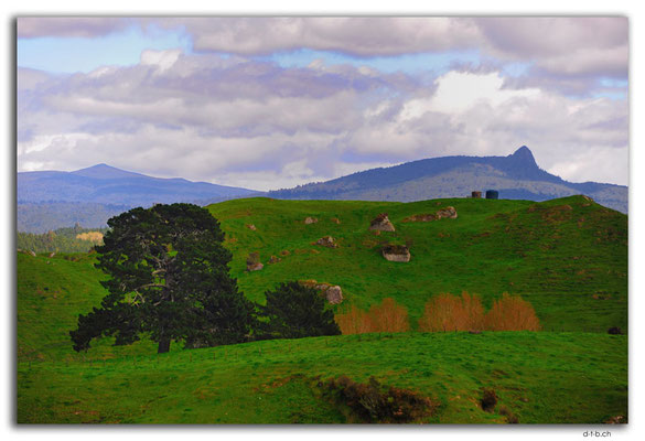 NZ0345.View from Kaahu Road
