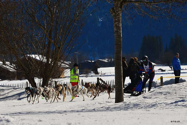 CH1356.SH-Rennen Lenk.Stettler Fabio