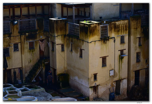 MA0340.Fès.Tanneries