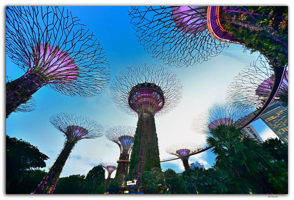 SIN0067.Gardens by the Bay.Supertrees
