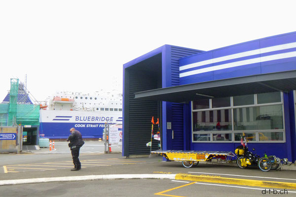 NZ: Solatrike in Wellington vor der Fähre