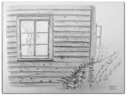 139. Skizze. Bialowieza, Poland