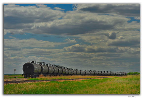 CA1063.Wagons
