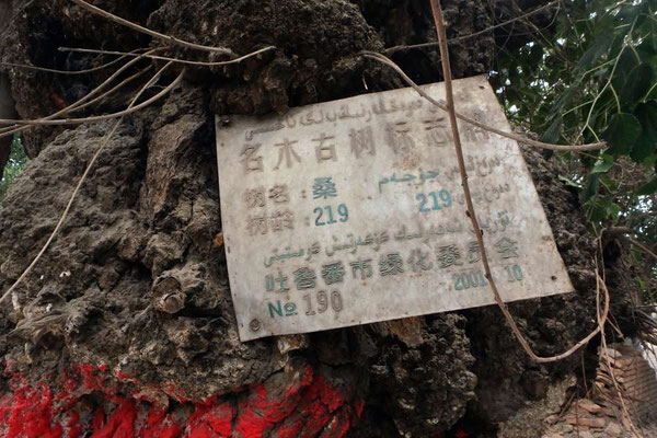 China,Turfan1
