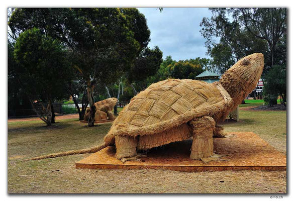 AU0662.York.Strohskulptur.Schildkröte