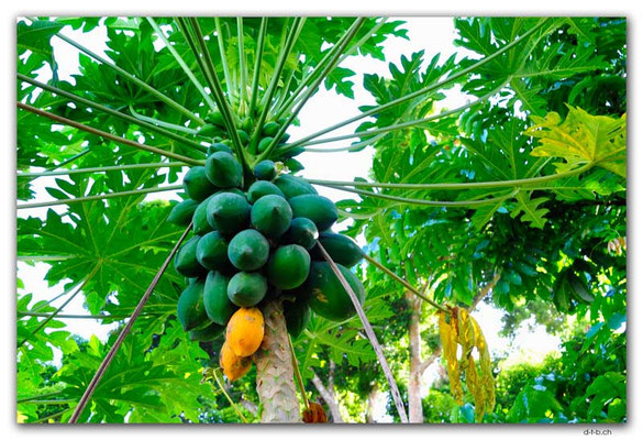 VT.0009.Port Vila.Fruits