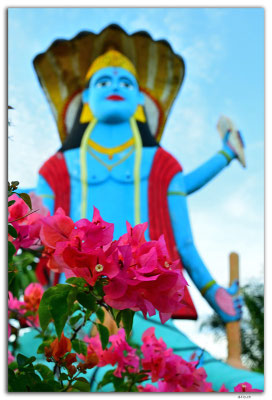 SR0020.Paramaribo.Hindu Temple