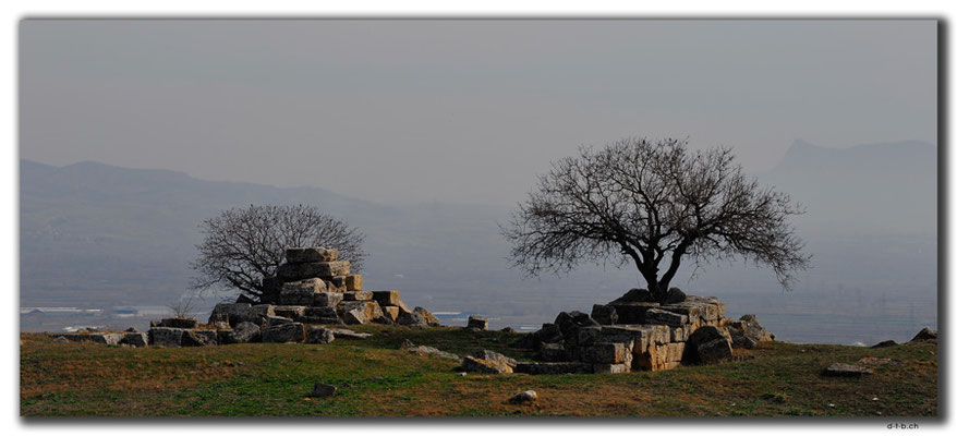 TR0180.Laodicea
