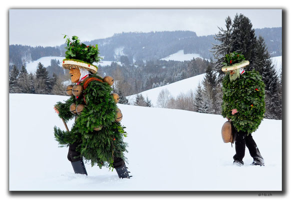 CH0999.Silvesterchlausen.Waldstatt