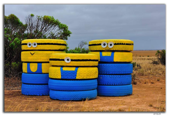 AU0961.Eyre Highway.Pneu-Minions