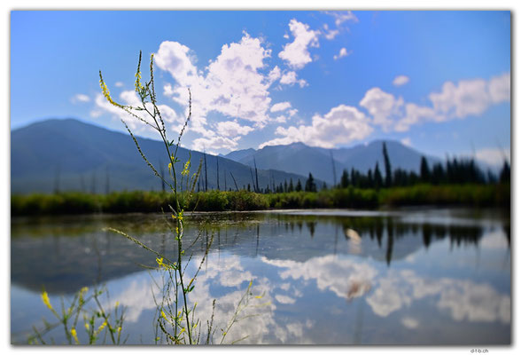 CA0671.Vermilion Lakes