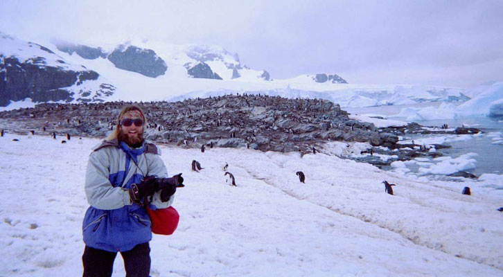 Antarktis, Cuverville Island