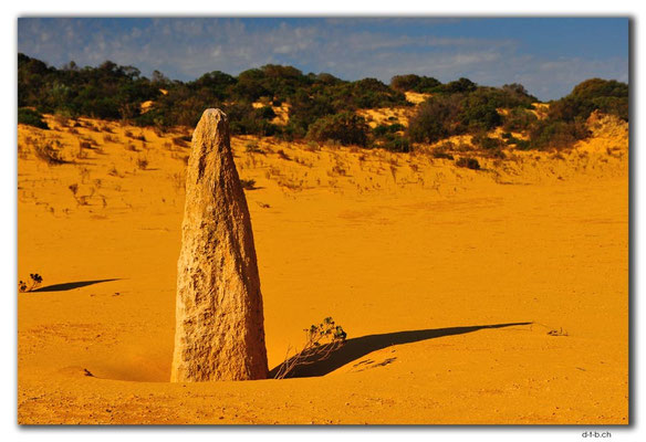 AU0595.Nambung N.P.Pinnacles
