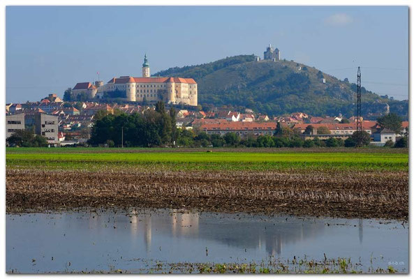 CZ035.Mikulov