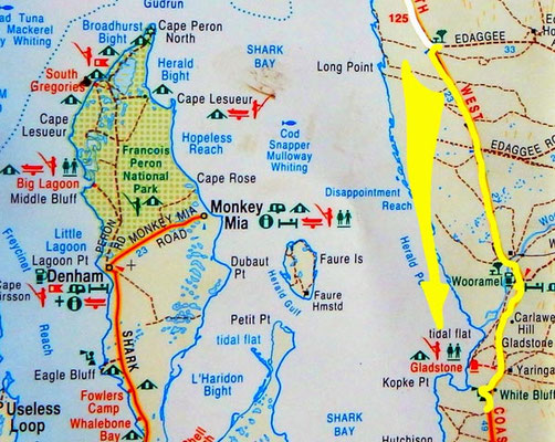 Tag 334: Edaggee R.A. - 26" NorthWest Australia