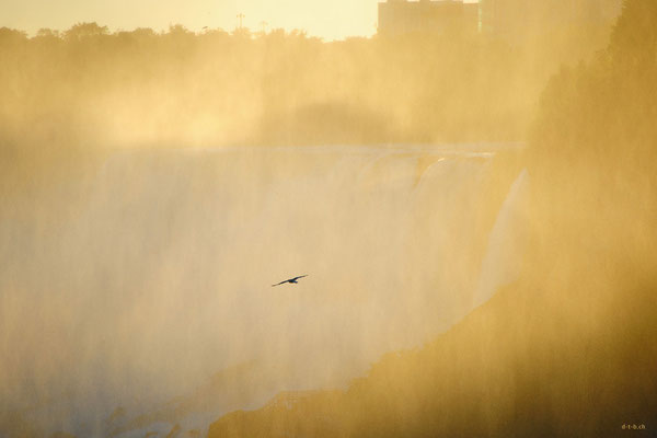 CA0411 Niagara Falls