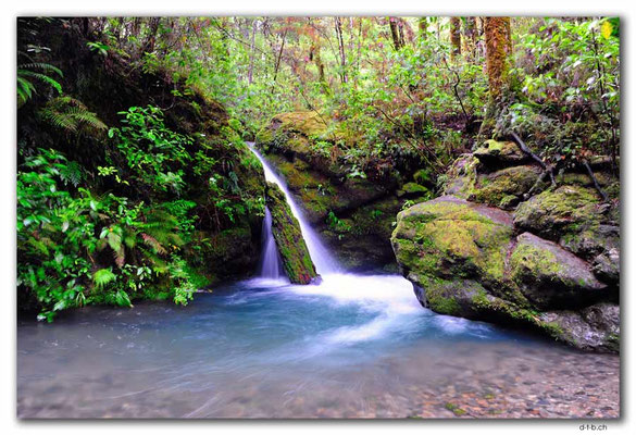 NZ0479.Pelorus Bridge.2.Waterfall